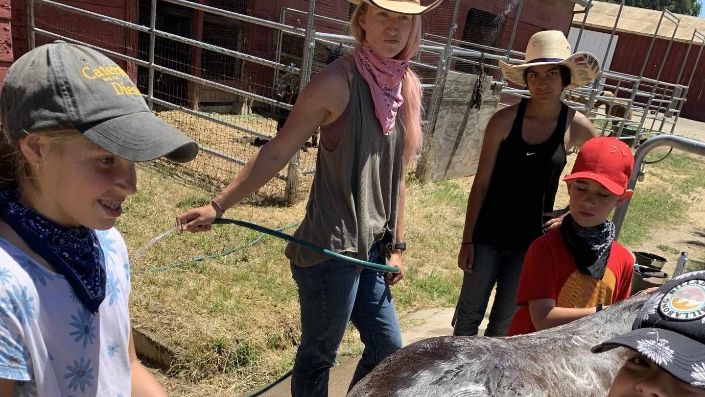 Campers grooming and washing a horse at Ocean View Stables kids camp