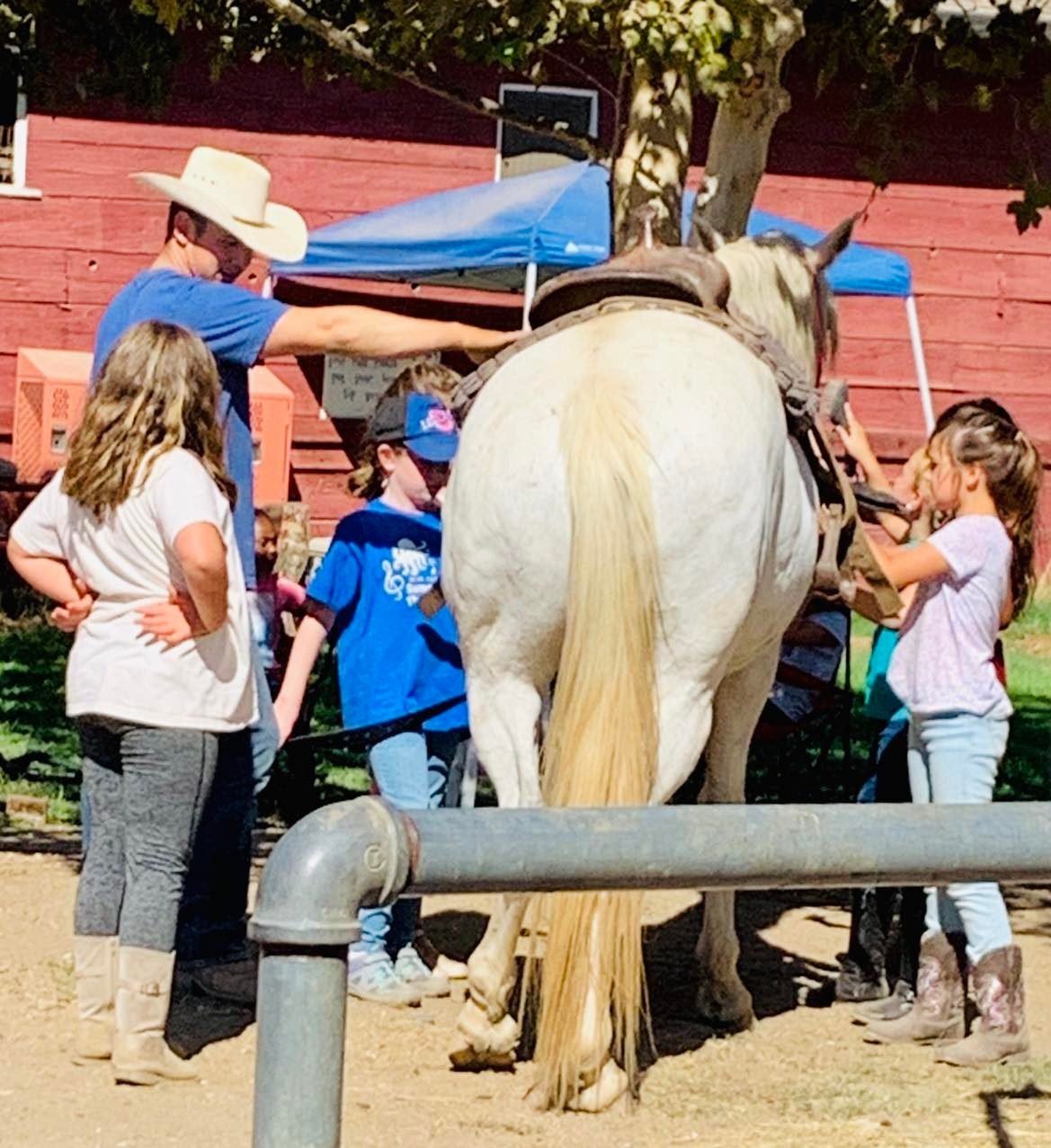 Children learning to groom a horse with an instructor at Ocean View Stables