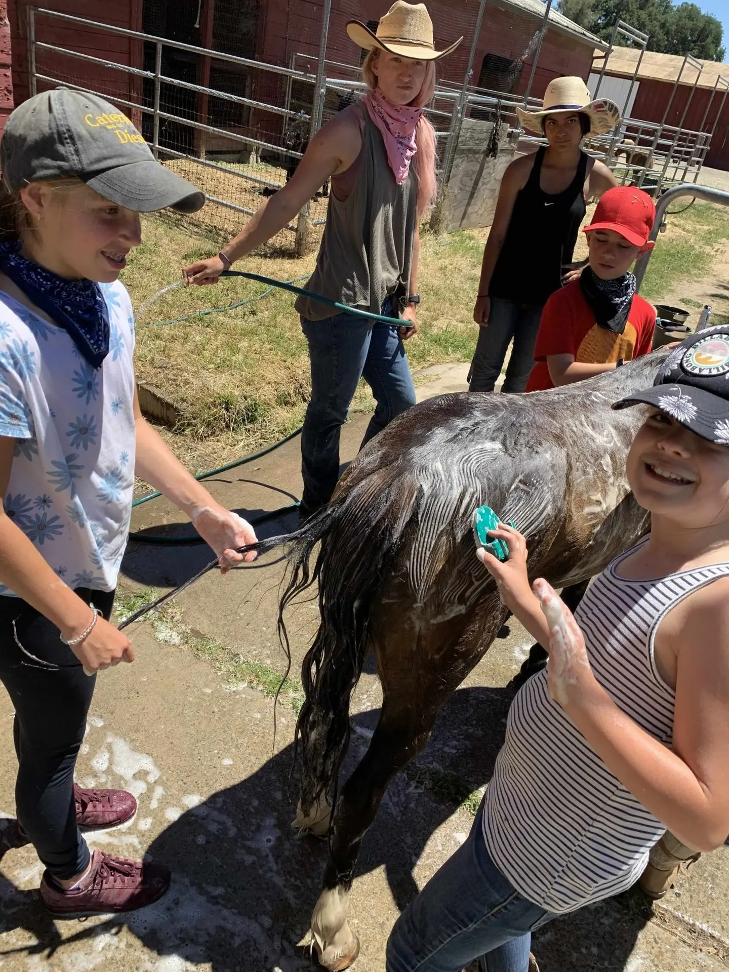 A young rider grooms a horse at Ocean View Stables
