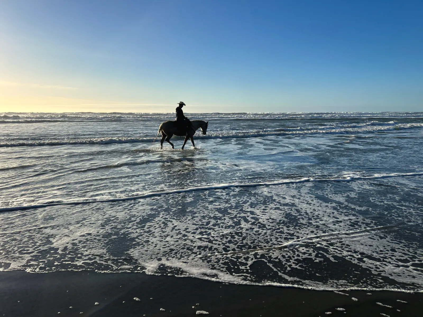 A rider walks a horse through the surf below the Daly City bluffs