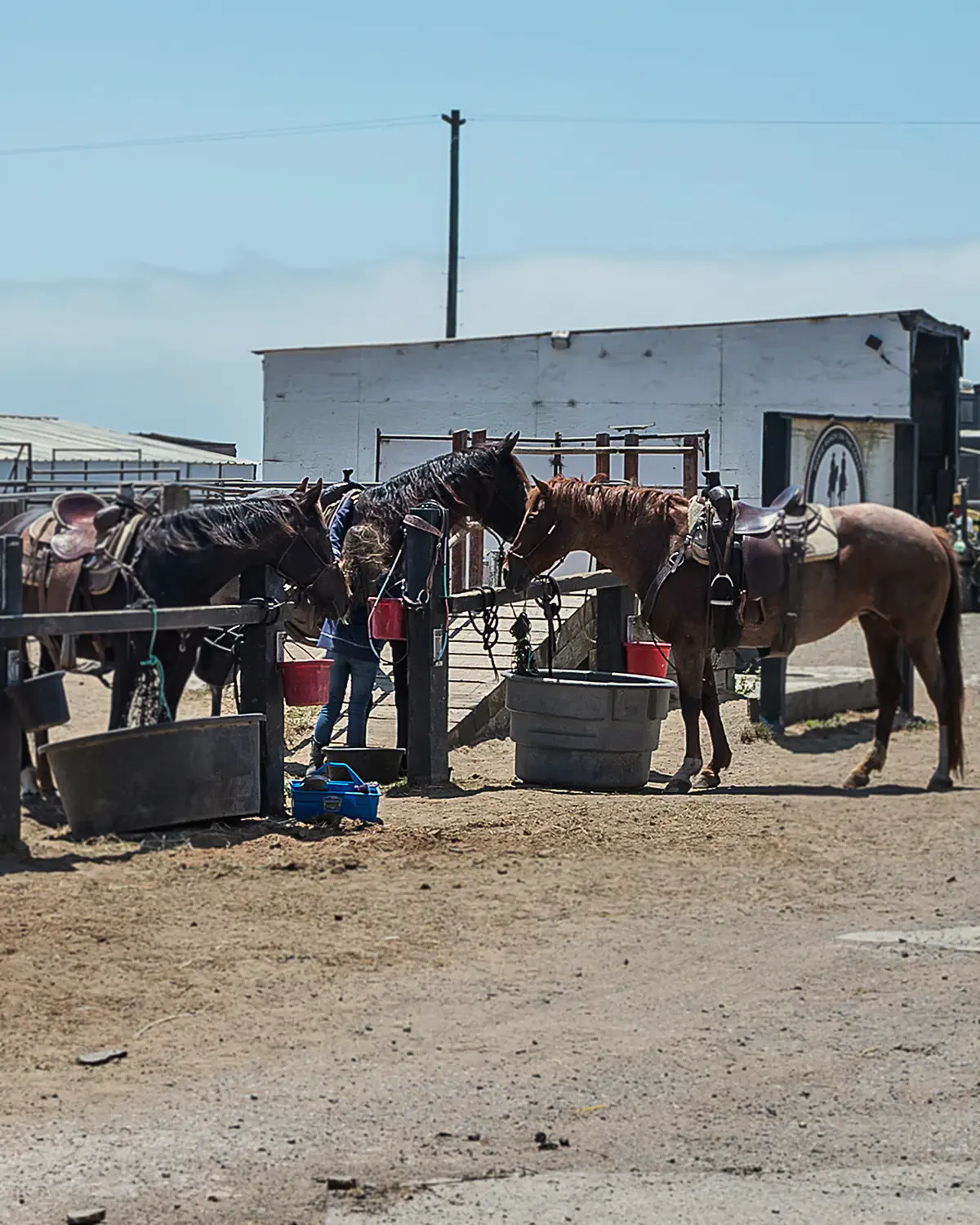 A person stands at the rail beside a tied horse in the yard at the barn