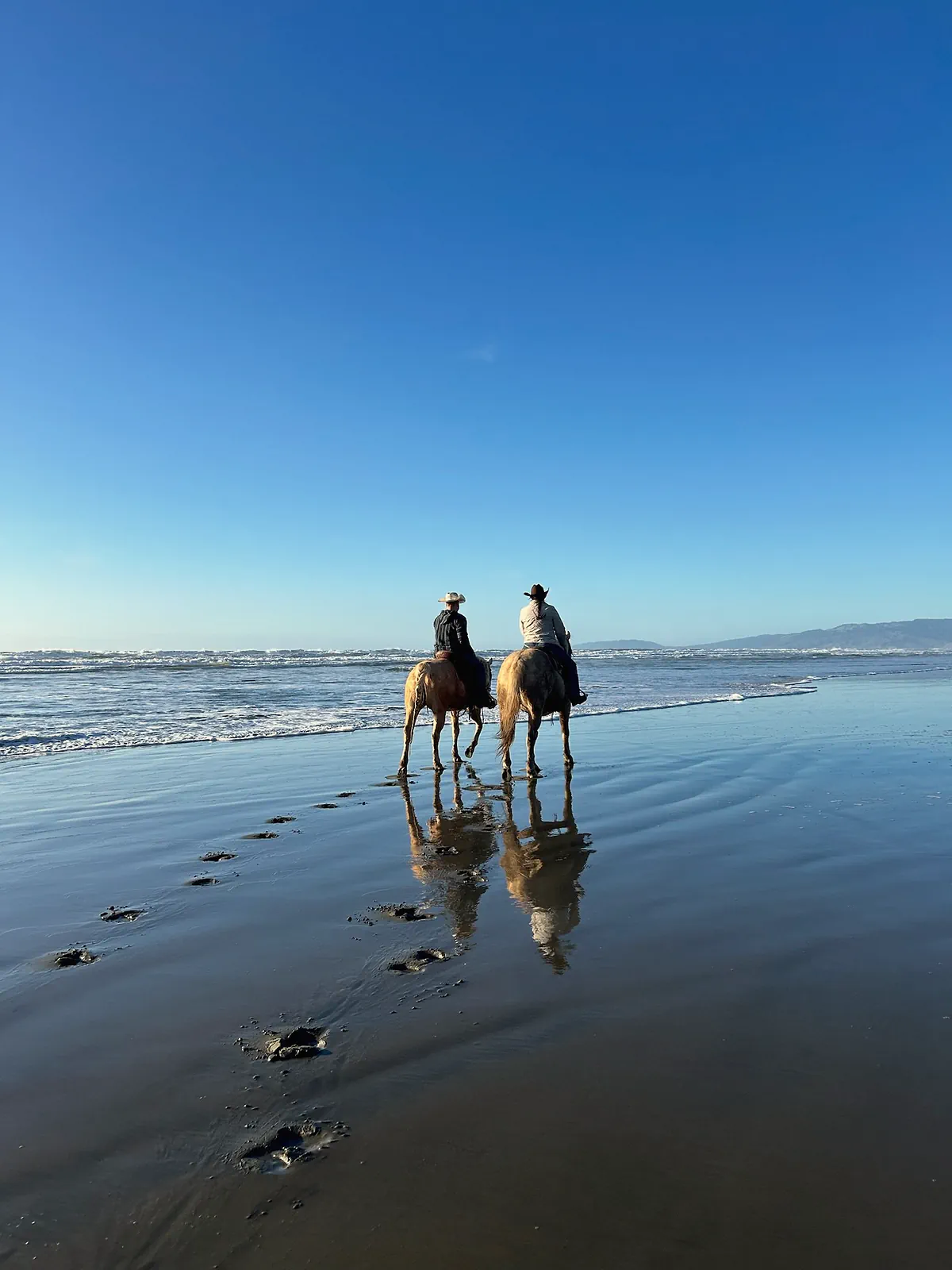 Two riders on palomino horses at the water's edge, their reflections in the wet sand