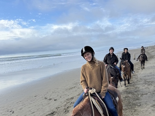 Horses on the Beach Experience | Guided Ride