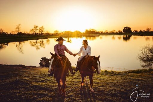 Horse Photography 1-Hour Session