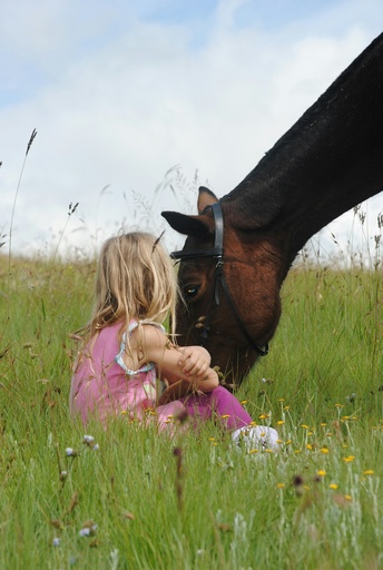 Pony Palooza Package