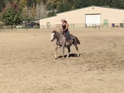 Foundational Horsemanship Lessons -1 Hour~