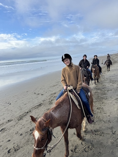 Private VIP Equestrian Experience