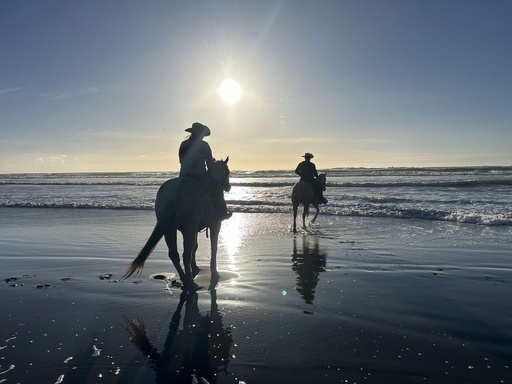 Private VIP Equestrian Experience
