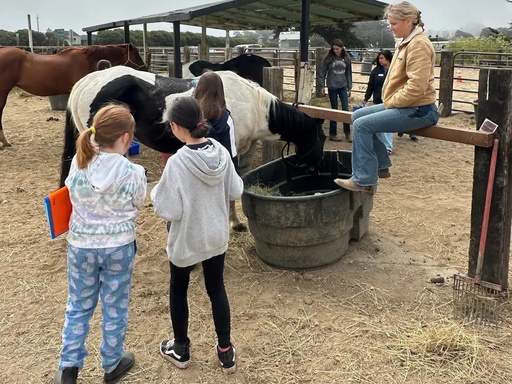 Arena Pony Ride (2 Laps)