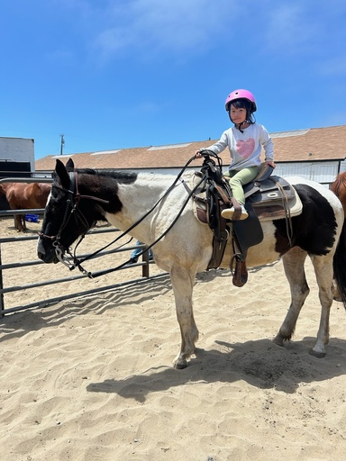 Arena Pony Ride 2 laps