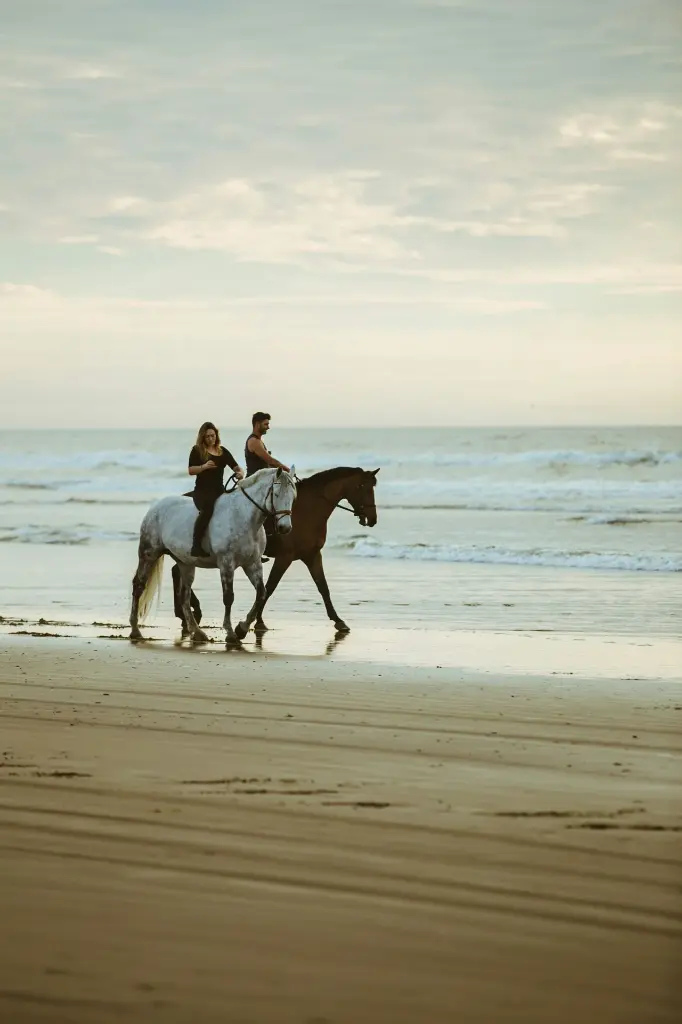 unsplash_Vb3iBnRIhR4_horse lesson.webp