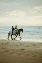 unsplash_Vb3iBnRIhR4_horse lesson.webp