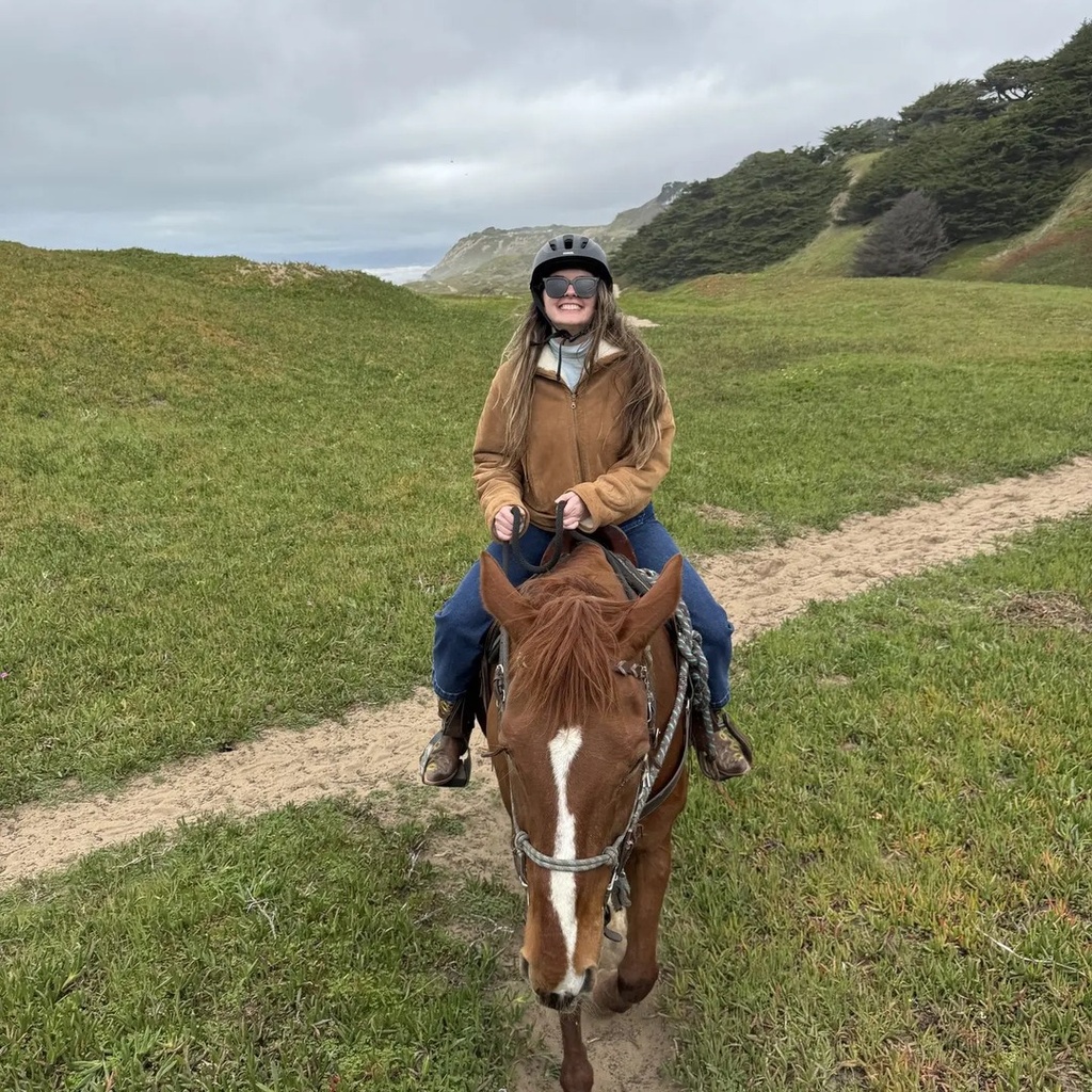 Trail Ride, Movie Night & Pod Stay | 2 Days, 1 Night (per person)