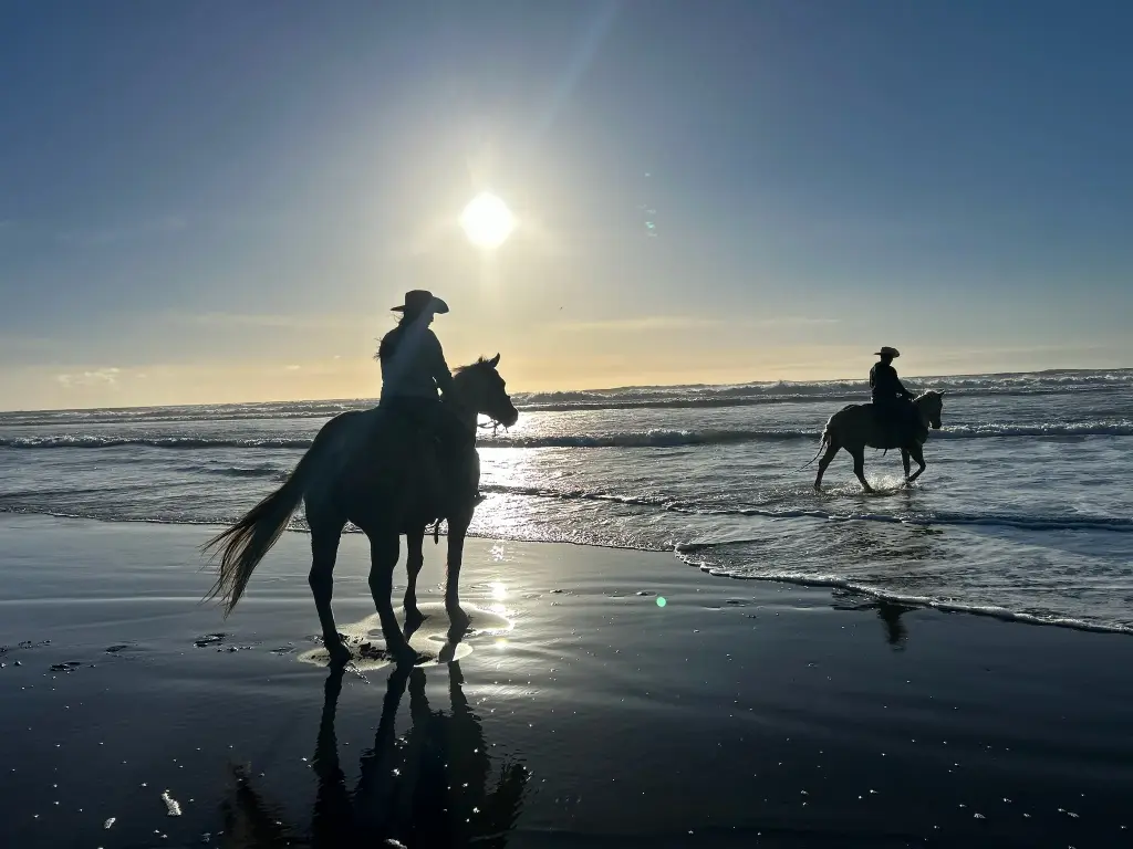 Lesson Club | Bronze | 4 days/Month