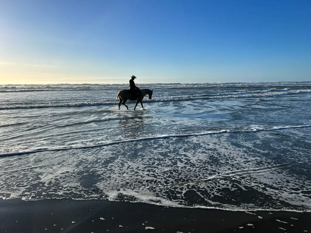 Lesson Club | Gold | 12 days/month