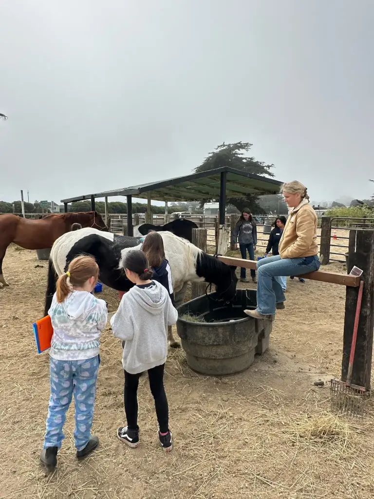 Lesson Club | Silver | 8 days/month