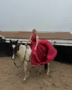 Horse Styling or Tack Changes