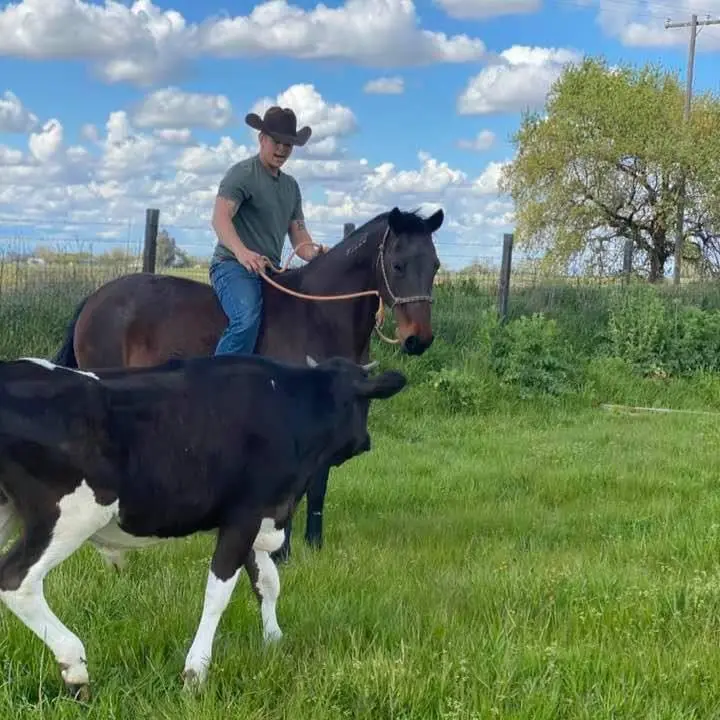 Lesson Club | 6 days/month