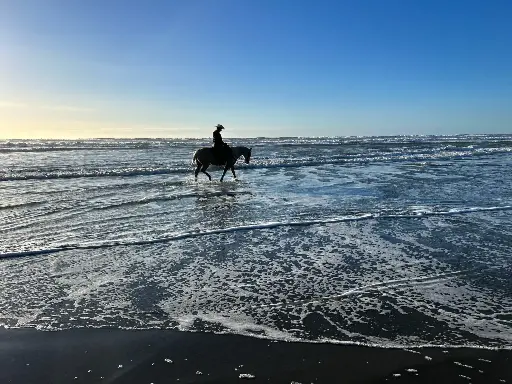 Lesson Club | Gold | 12 days/month