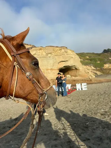 Use of Beach Trail