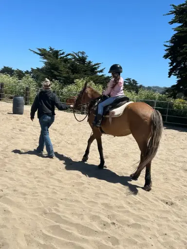  Walking Wrangler for Safety