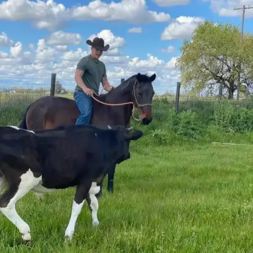 Lesson Club | 6 days/month