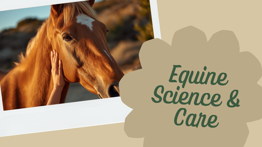 Course 100: Equine Science & Care