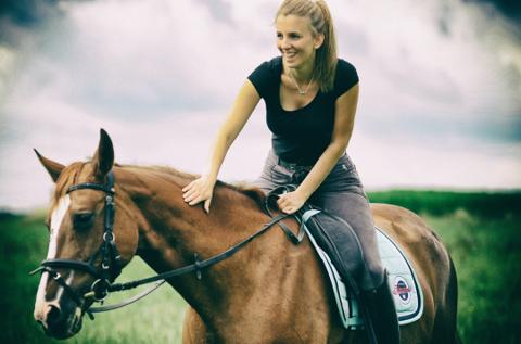 Horses at Ocean View Stables